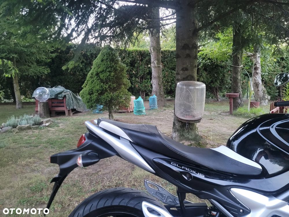 Suzuki Gladius - 10