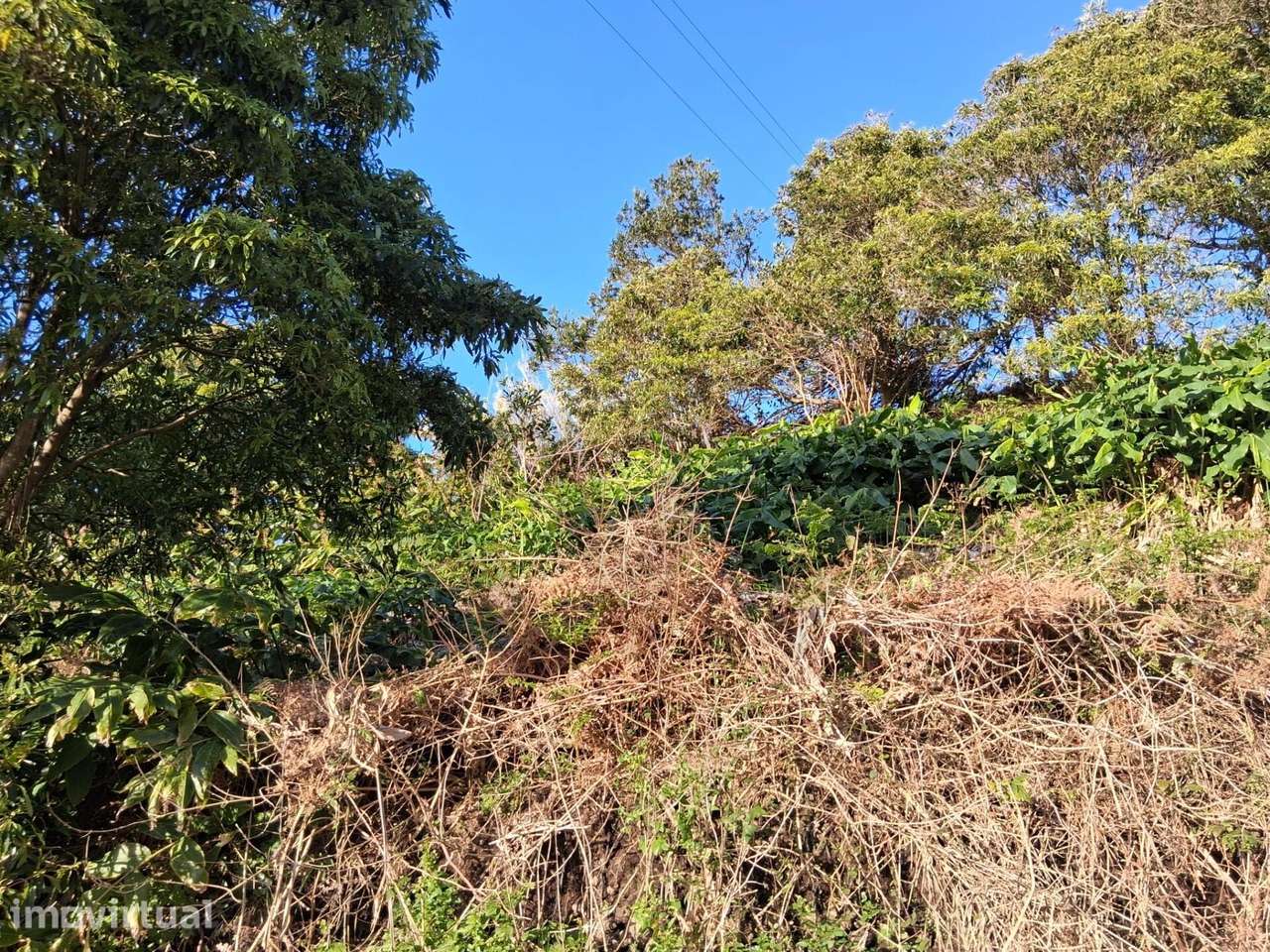 Luxo Minimalista em Valverde, Ilha do Pico – Vista Eterna e Projeto Ap - Grande imagem: 5/19