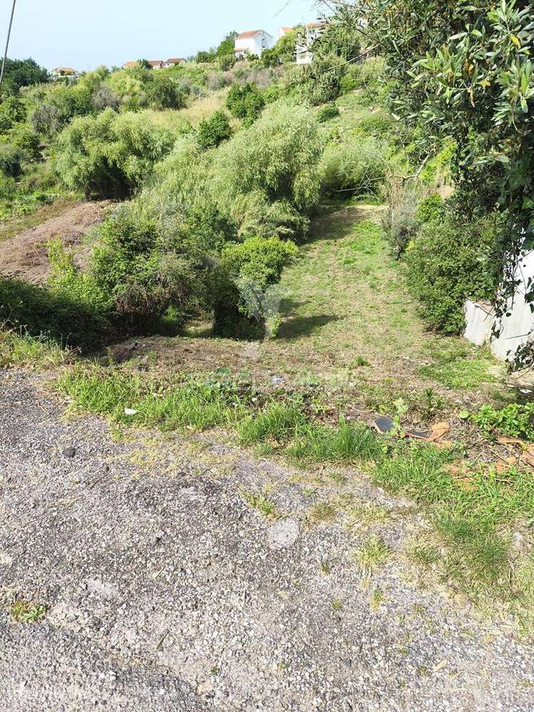 Terreno construção Almalaguês, Coimbra - Grande imagem: 2/5