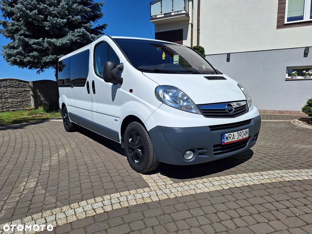 Opel Vivaro L2H1 EcoFlex DPF - 13