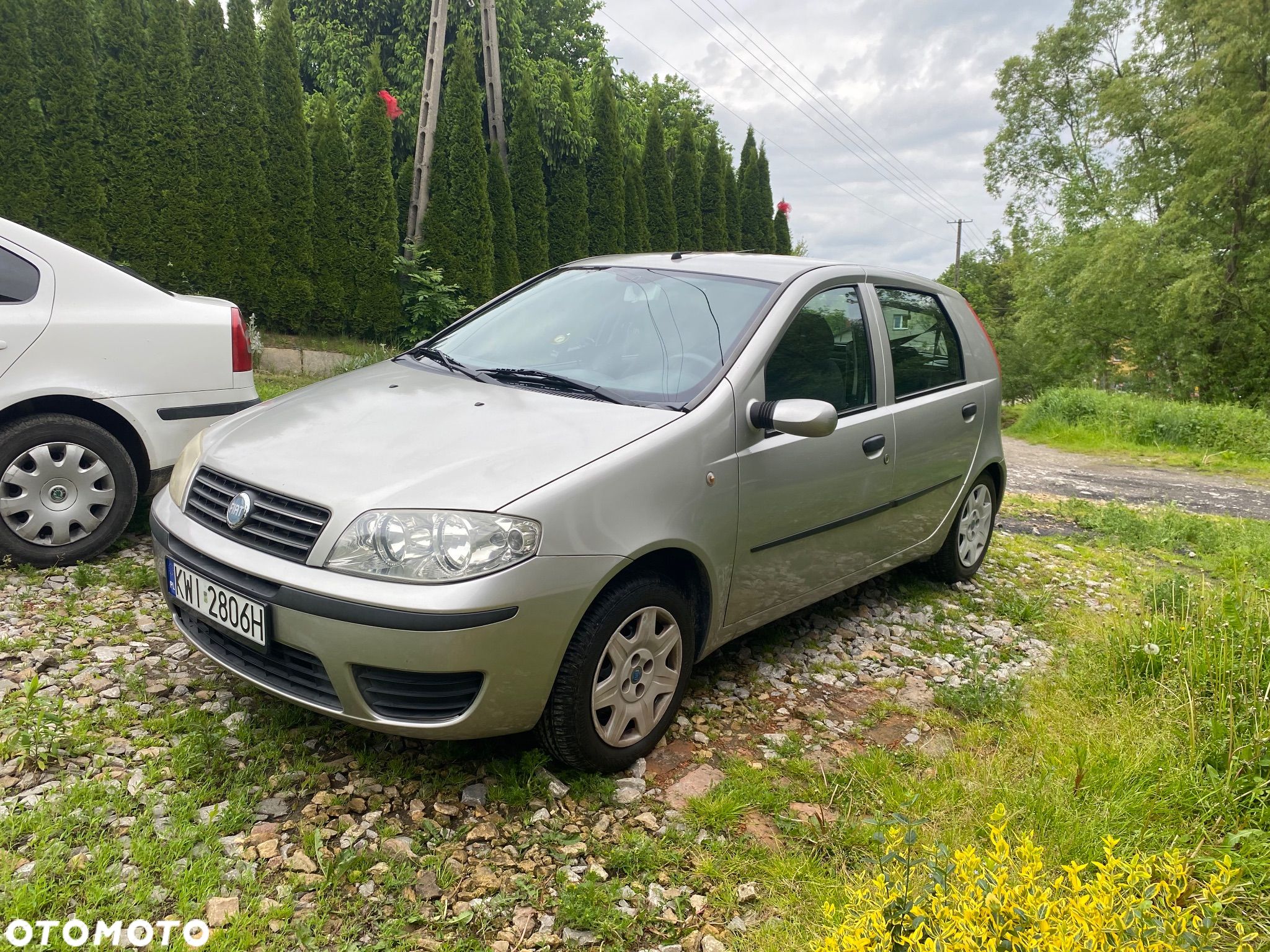 Fiat Punto - 1