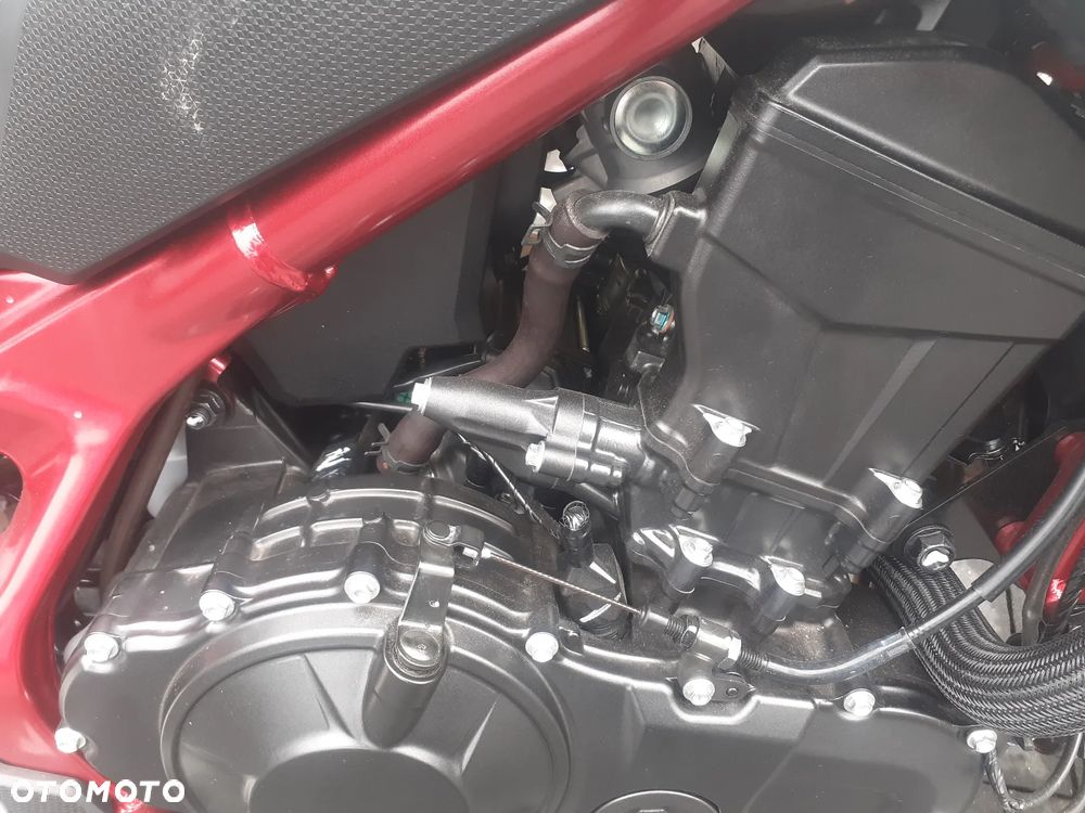 Honda Hornet - 15