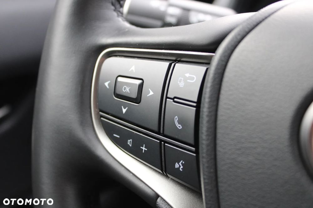 Lexus UX 250h GPF Prestige 2WD - 25