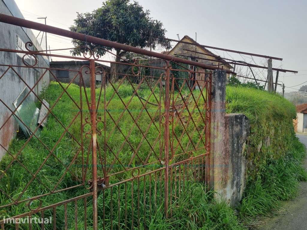 CASA ANTIGA C TERRENO - LOBÃO - Grande imagem: 3/3