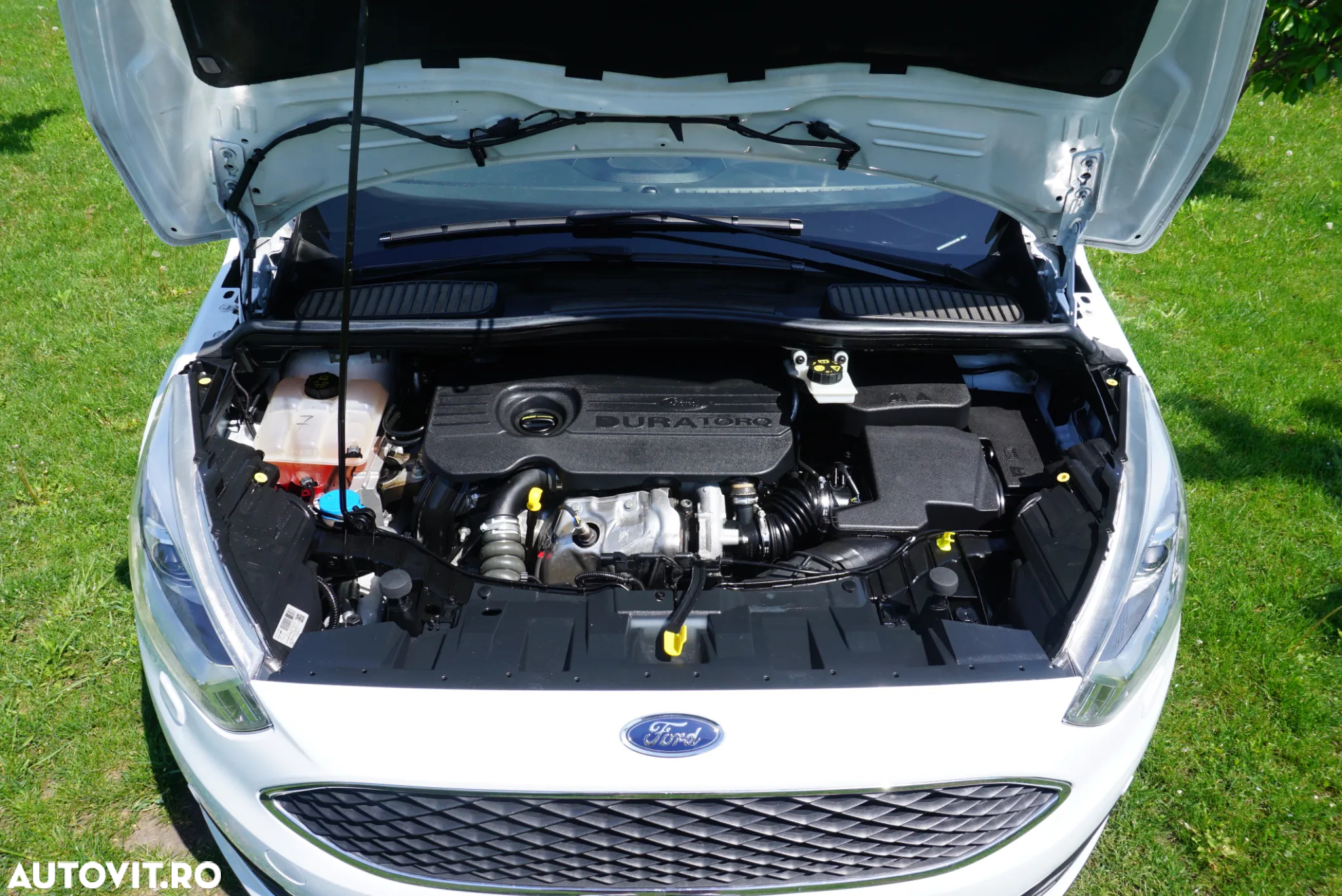 Ford Grand C-Max 1.5 TDCi Start-Stopp-System Business Edition - 28