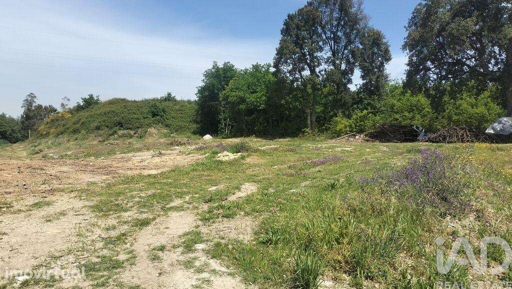 Terreno para construção em Paredes - Grande imagem: 3/24