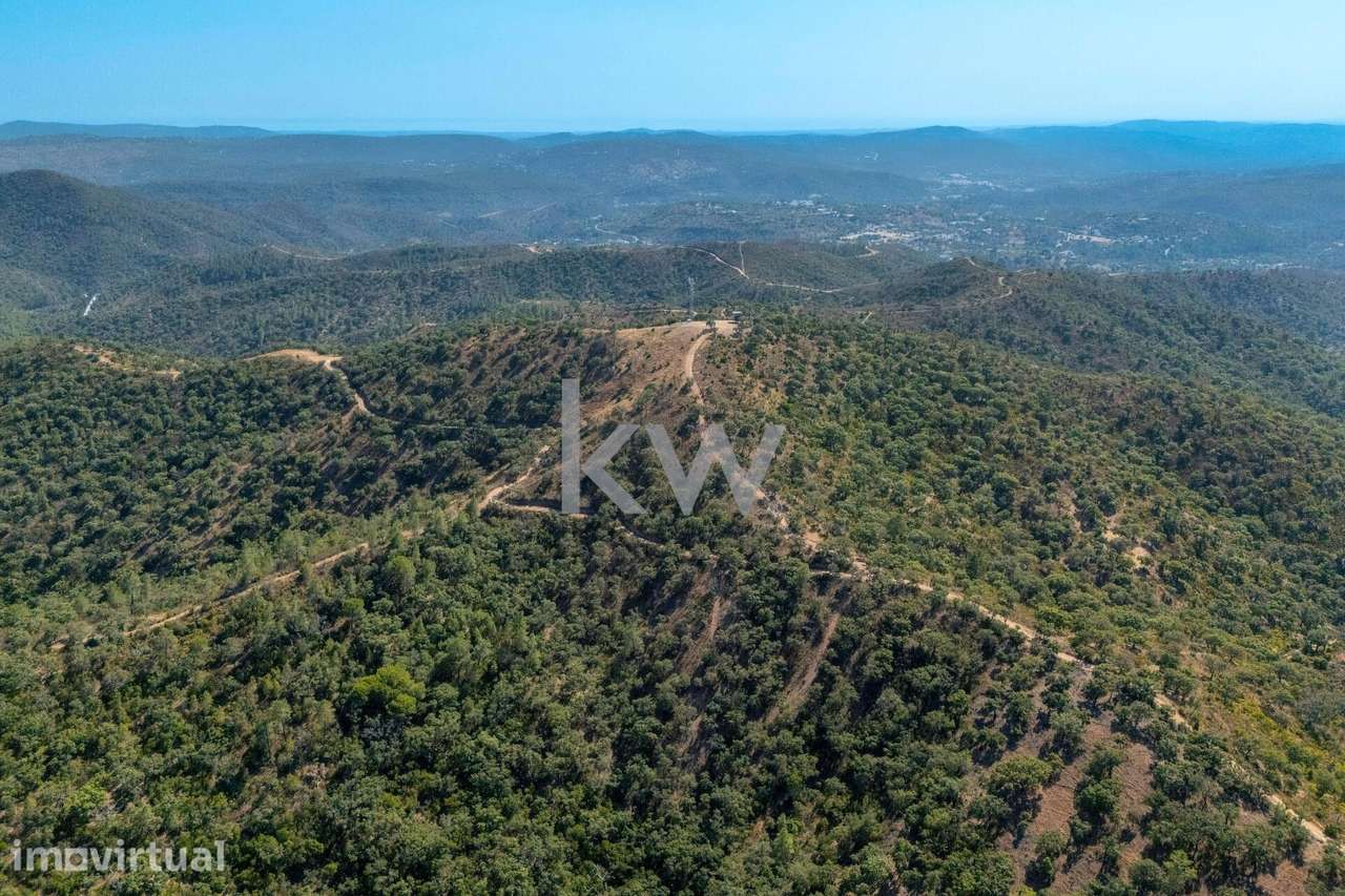 Terreno com 4750 m2 em Cepo, Querença, produção cortiça e medronhos - Grande imagem: 4/31
