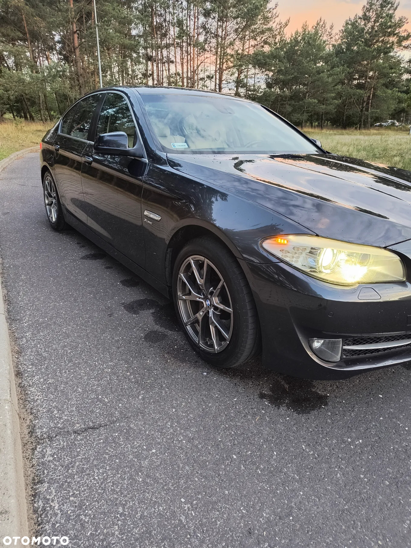 BMW Seria 5 528i xDrive - 21