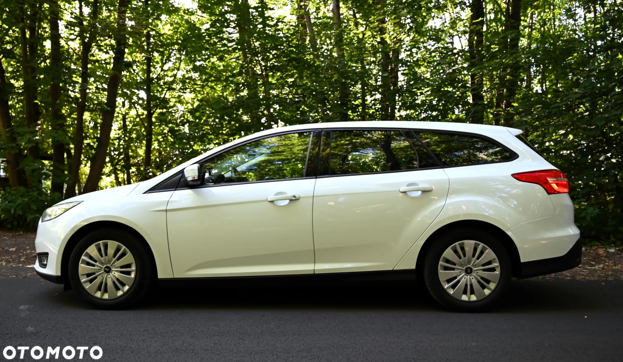 Ford Focus - 26