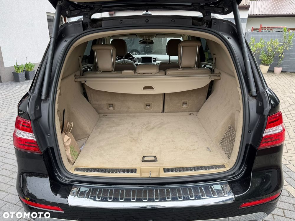 Mercedes-Benz ML 350 BlueTEC 4-Matic - 19