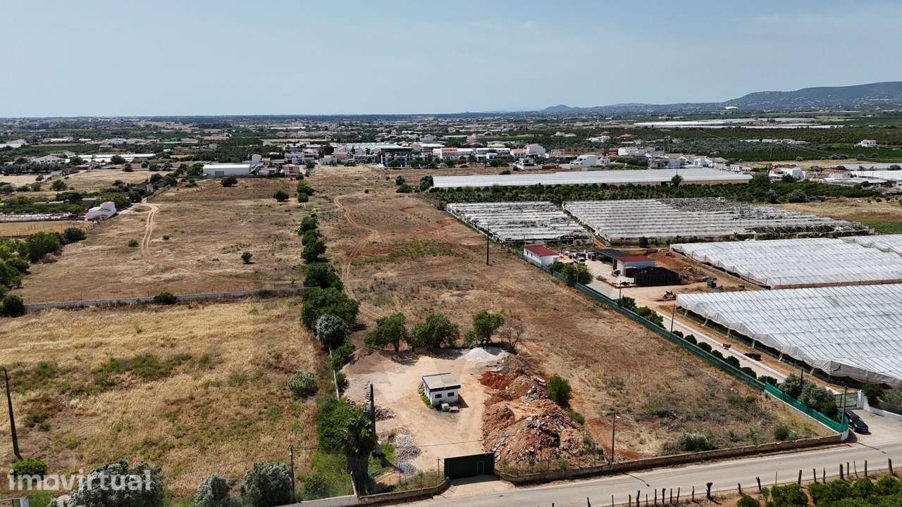 Terreno Campinas de Faro 3 HA - Grande imagem: 5/11