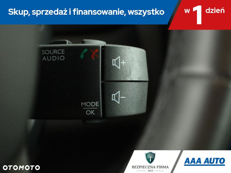 Renault Clio - 17