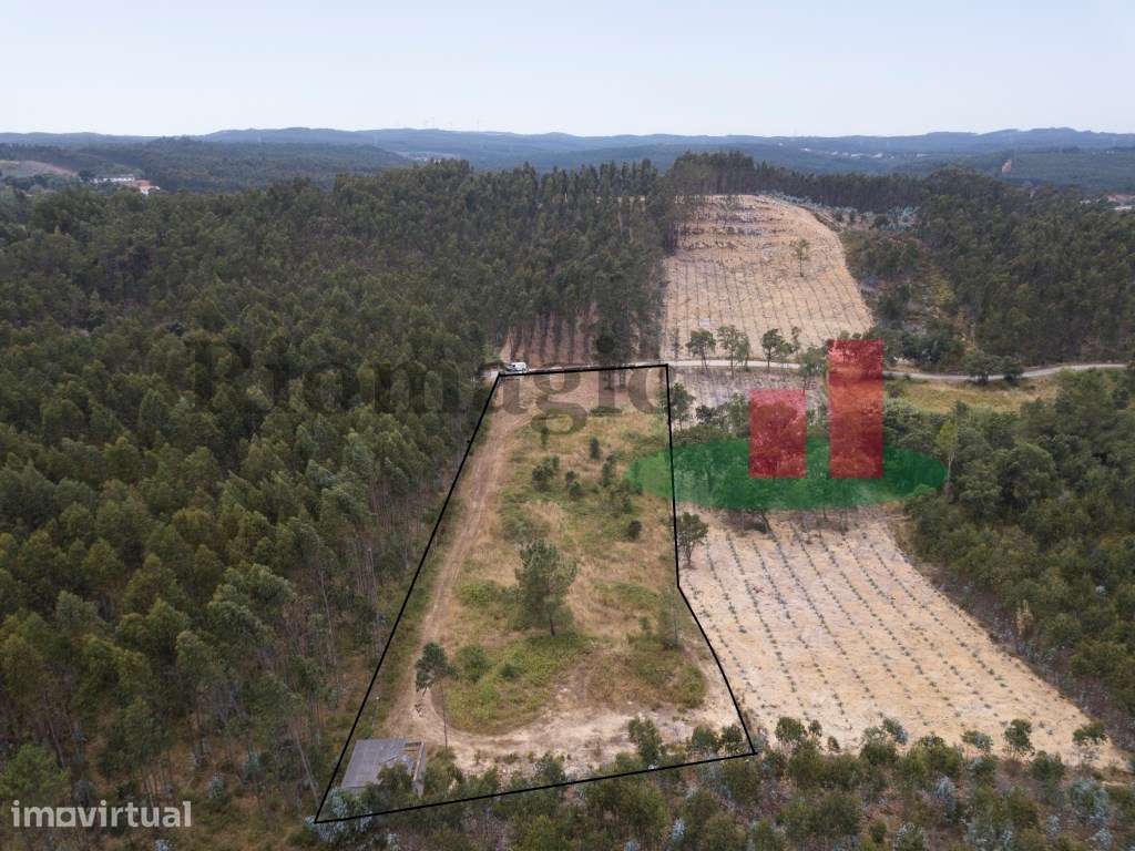 Terreno Asseiceira ***RIOMAGIC*** - Grande imagem: 2/16
