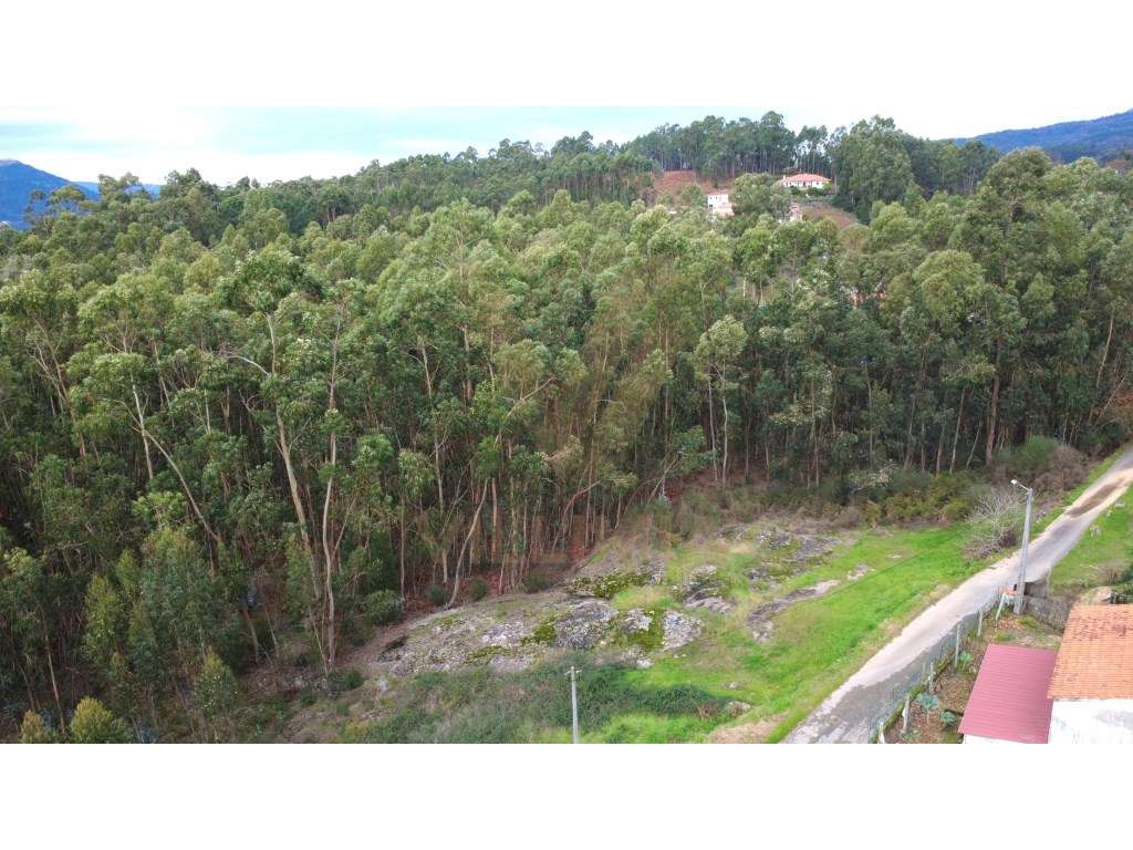 Terreno rústico 3.145 m² | Refoios do Lima, Ponte de Lima - Grande imagem: 3/6
