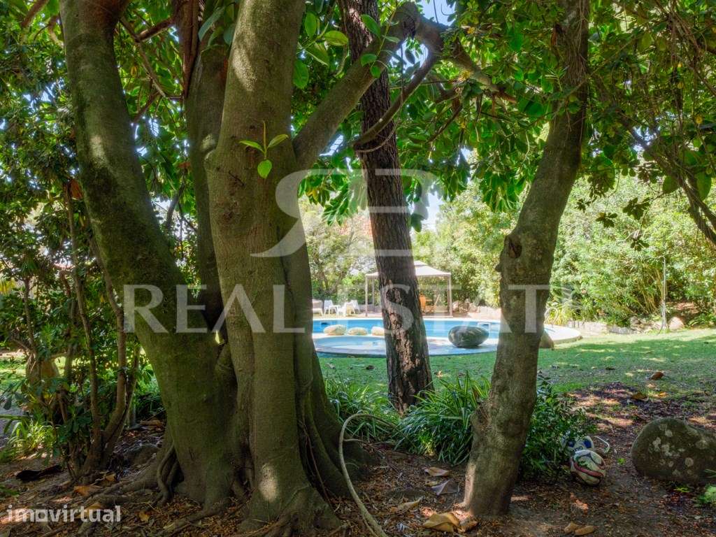 T2 + JARDIM + PISCINA + ESTACIONAMENTO, no Monte Estoril - Cascais. - Grande imagem: 3/34