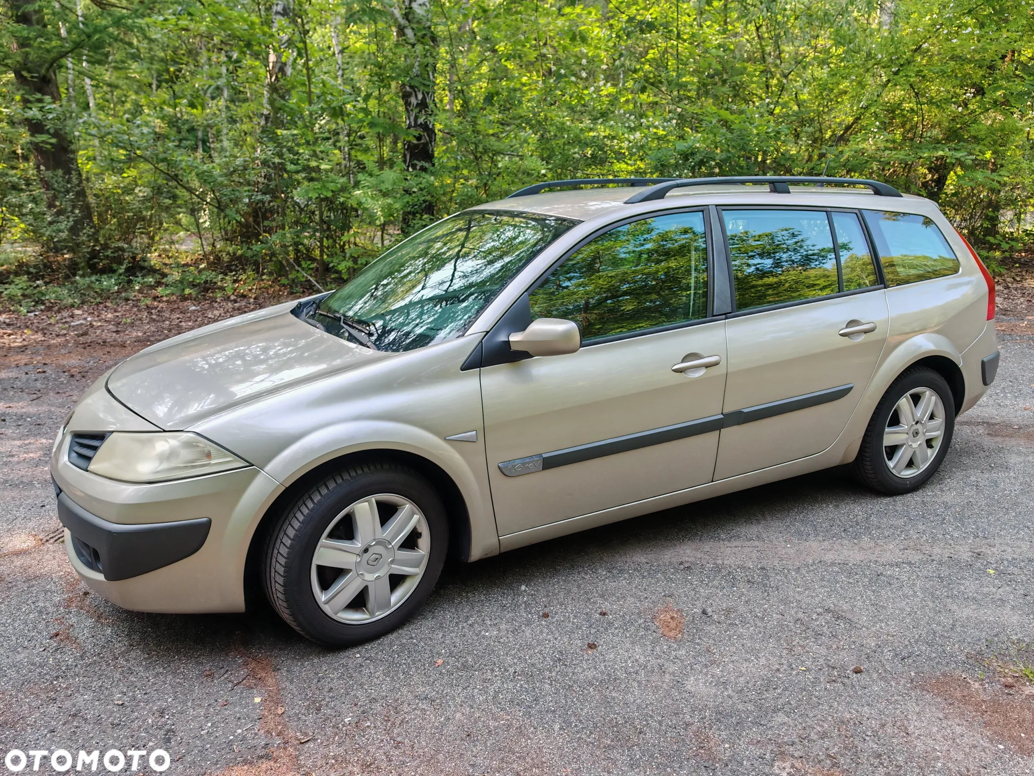 Renault Megane 1.6 Grandtour Privilege - 12