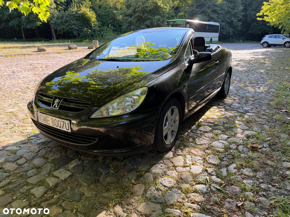 Peugeot 307 CC - 12