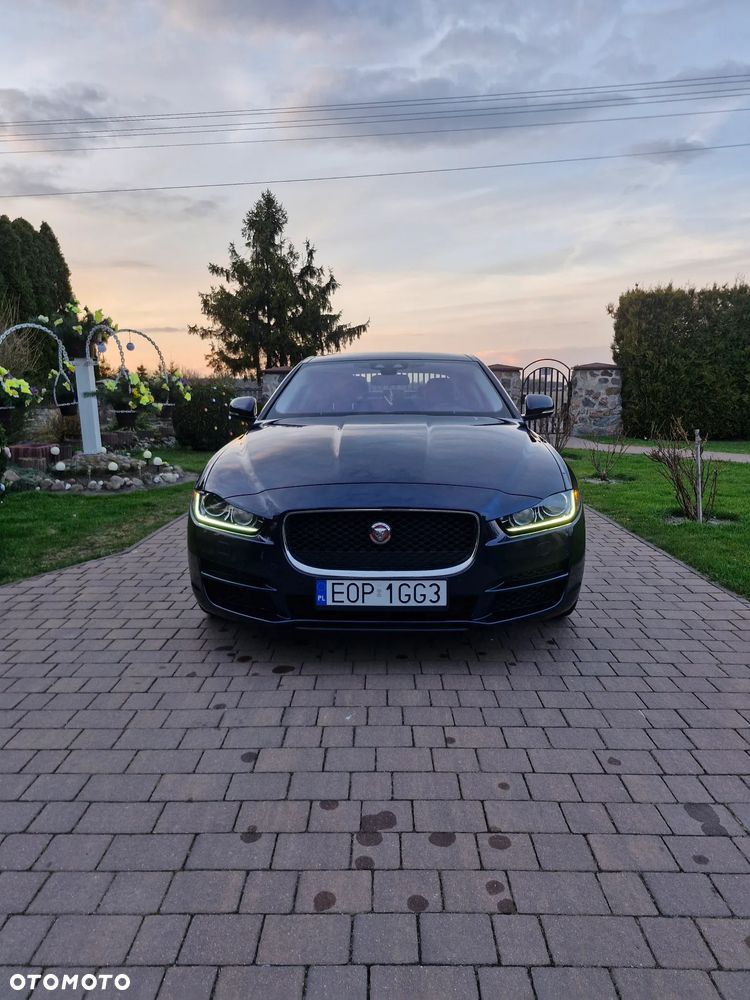 Jaguar XE 2.0 T Prestige - 2