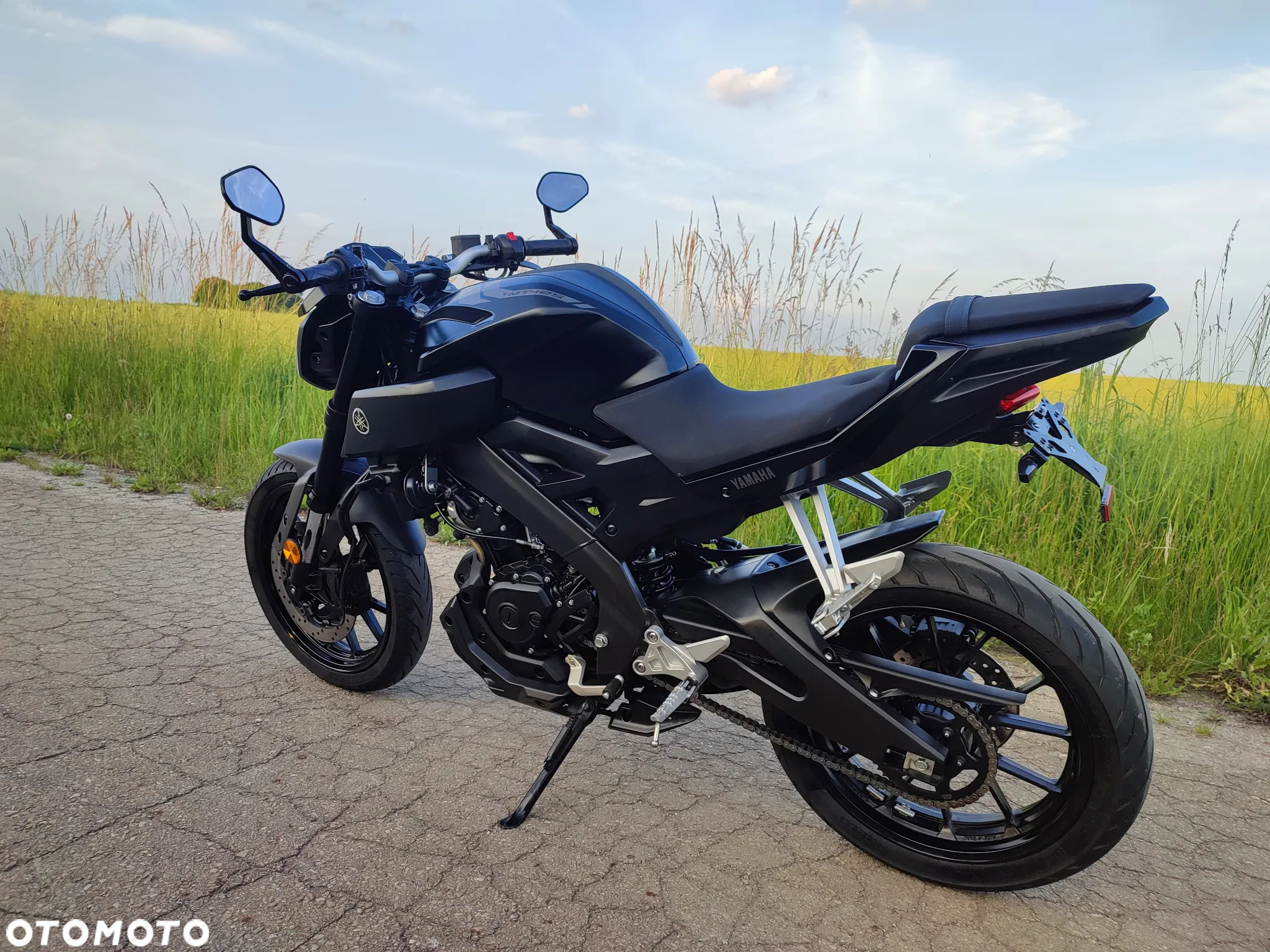 Yamaha MT - 29