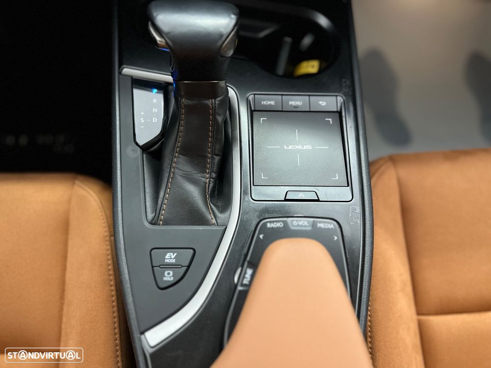 Lexus UX 250h Special Edition (LCA) - 36
