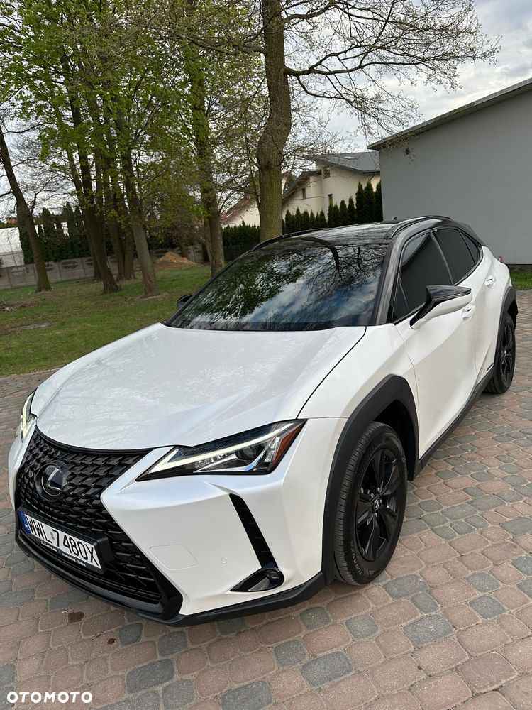 Lexus UX 250h Executive Line - 8