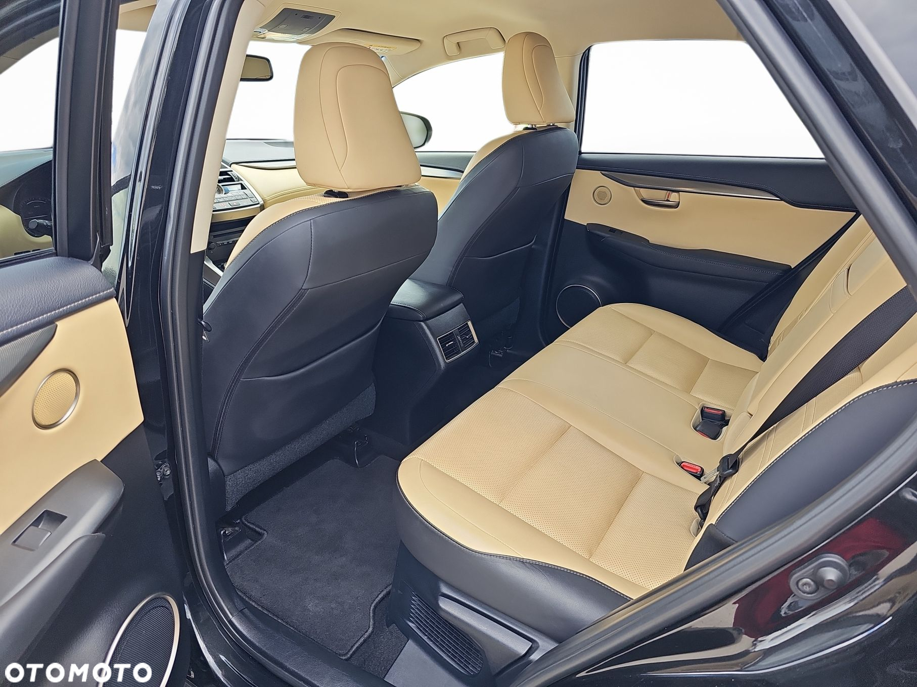 Lexus NX - 10