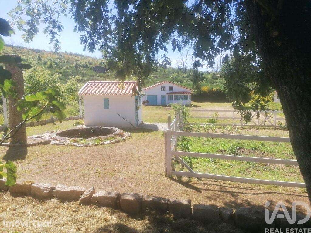 Terreno em Oliveira do Hospital e São Paio de Gramaços - Grande imagem: 4/11