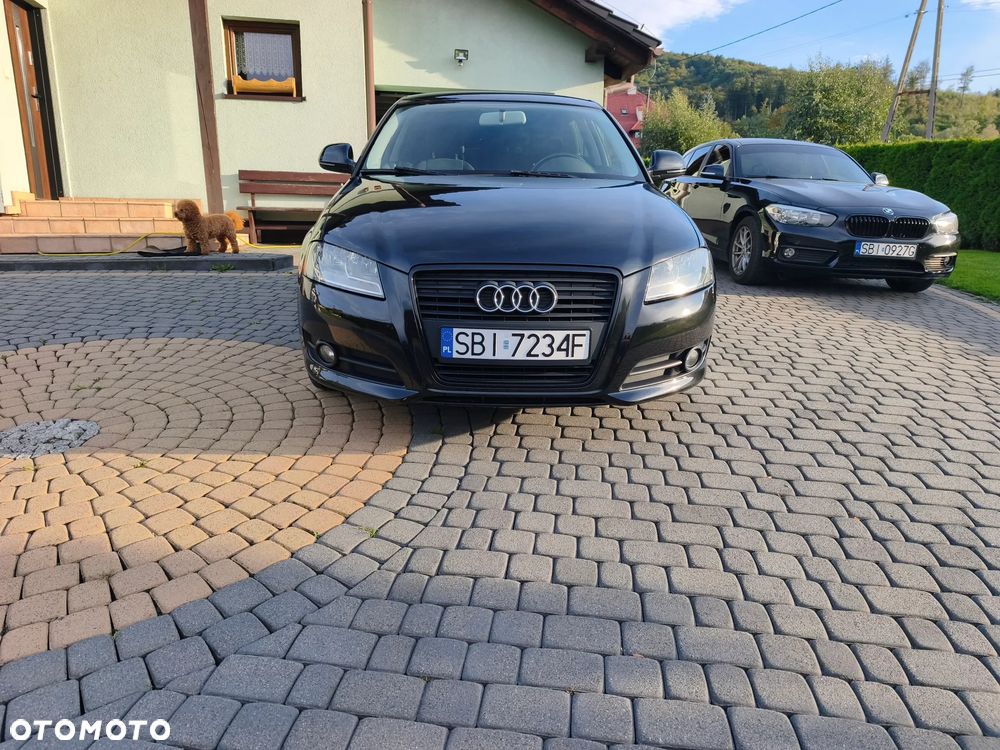 Audi A3 3-drzwiowe 1.6 Limited Edition - 19