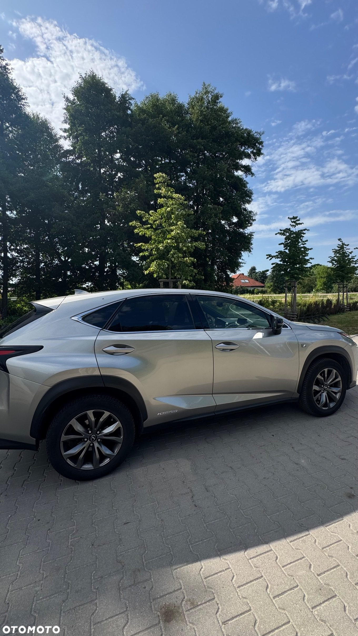 Lexus NX 300h F Sport AWD - 4