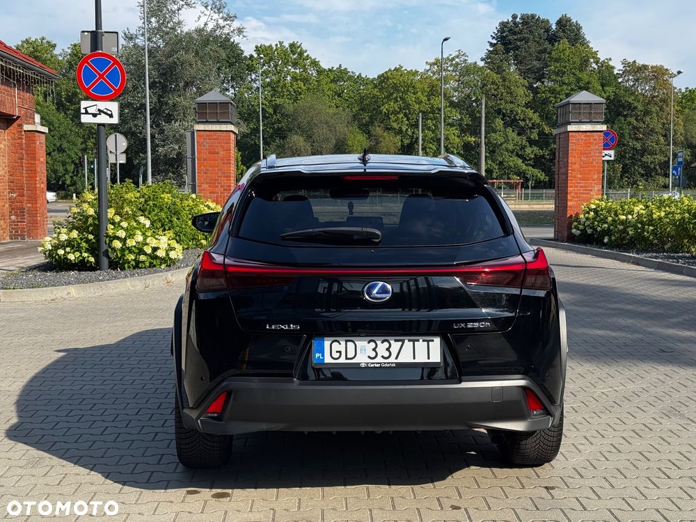 Lexus UX 250h GPF Prestige 2WD - 11