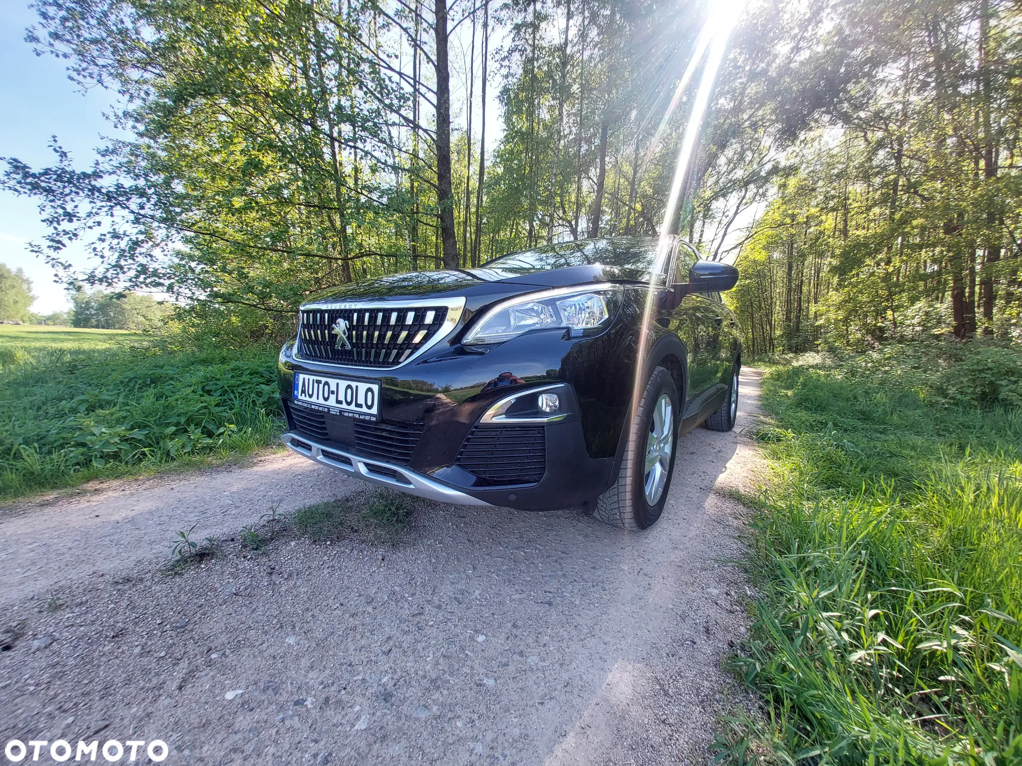 Peugeot 3008 - 2