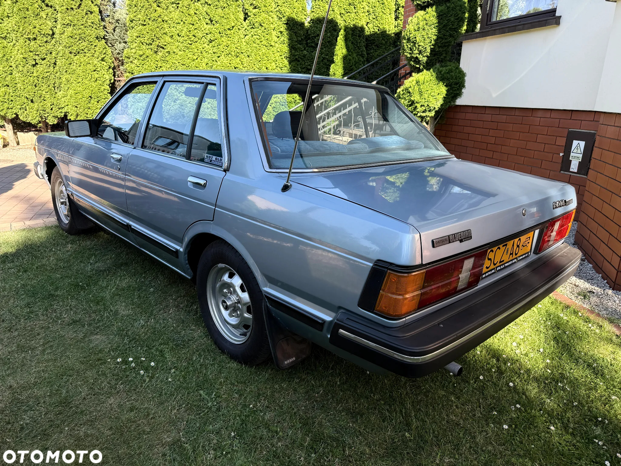 Nissan Bluebird - 4