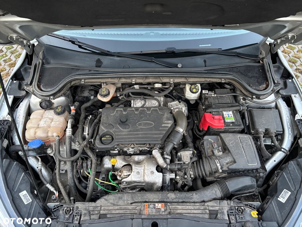 Ford Focus 1.5 EcoBlue Trend - 8