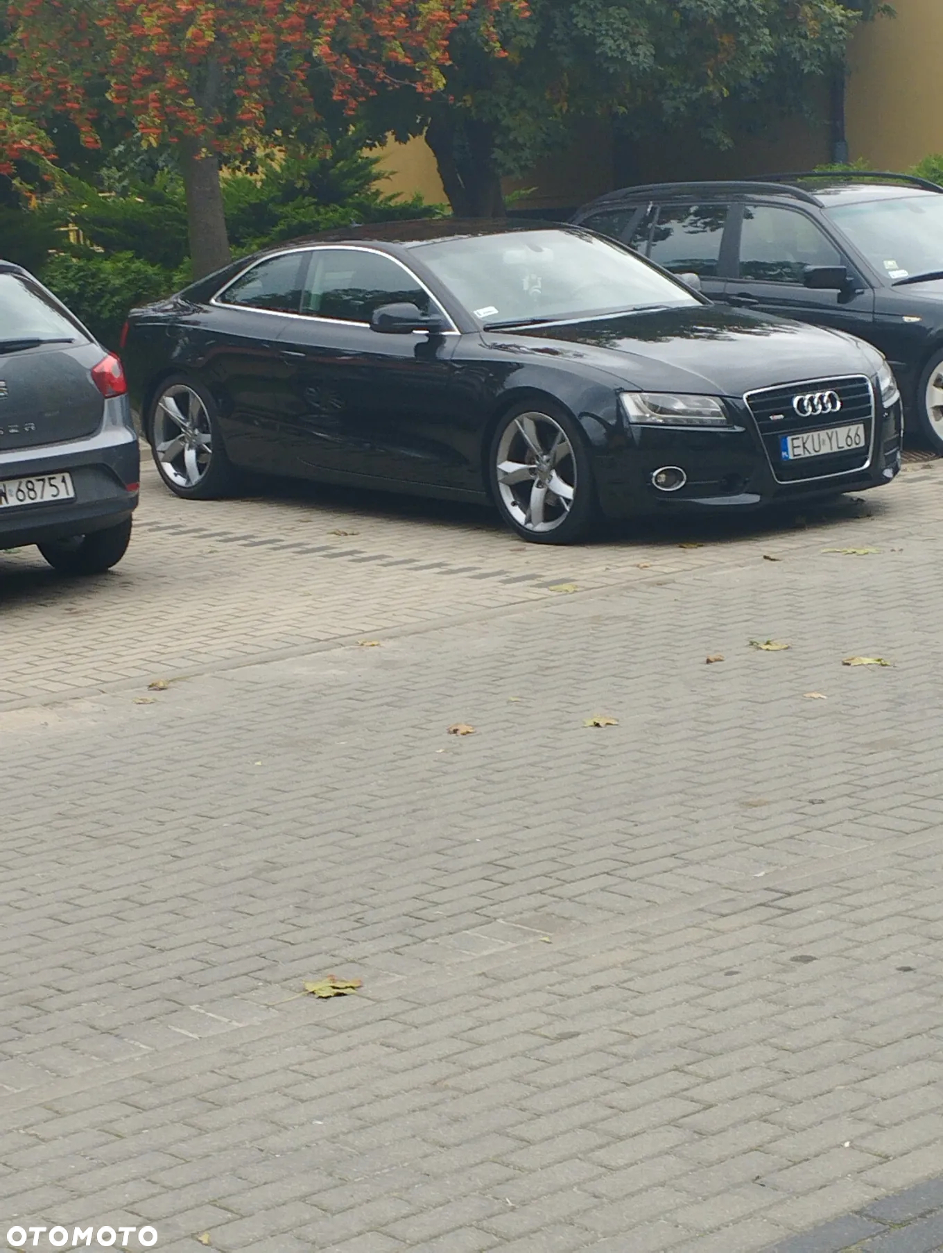 Audi A5 2.7 TDI Multitronic - 4