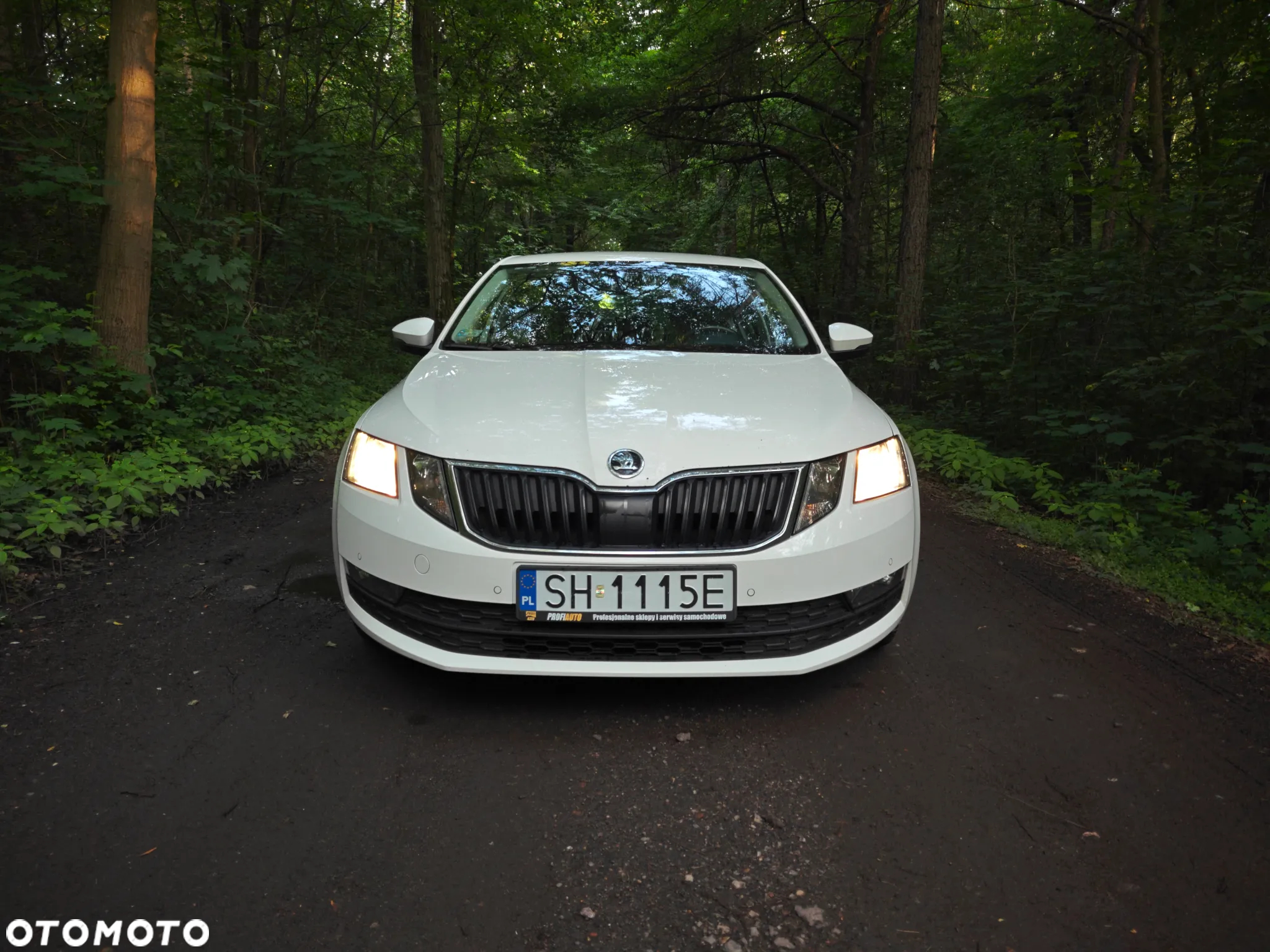 Skoda Octavia 1.6 TDI Ambition - 3