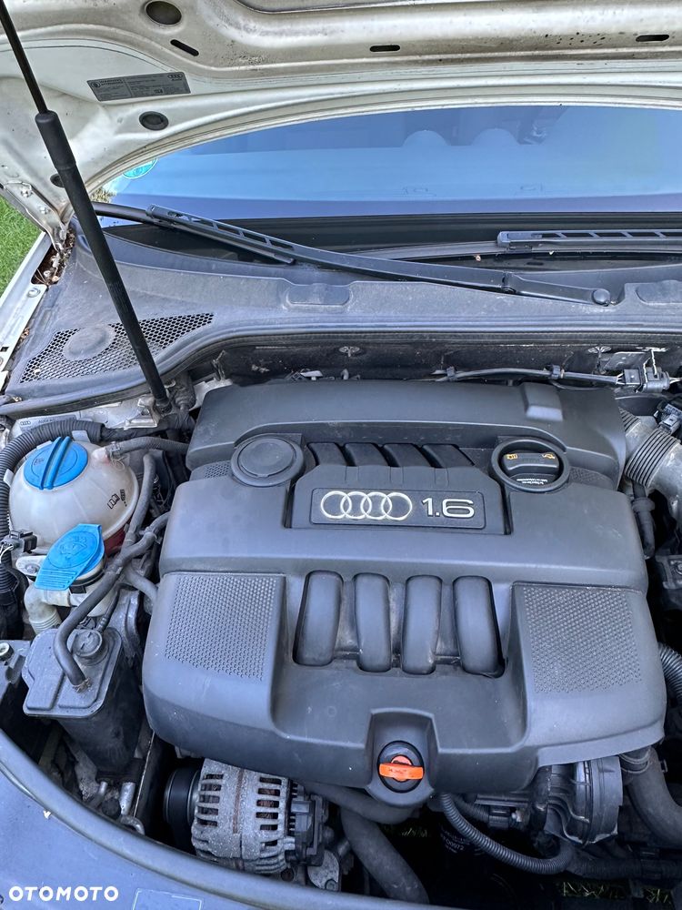 Audi A3 3-drzwiowe 1.6 S line Sportpaket (plus) - 17