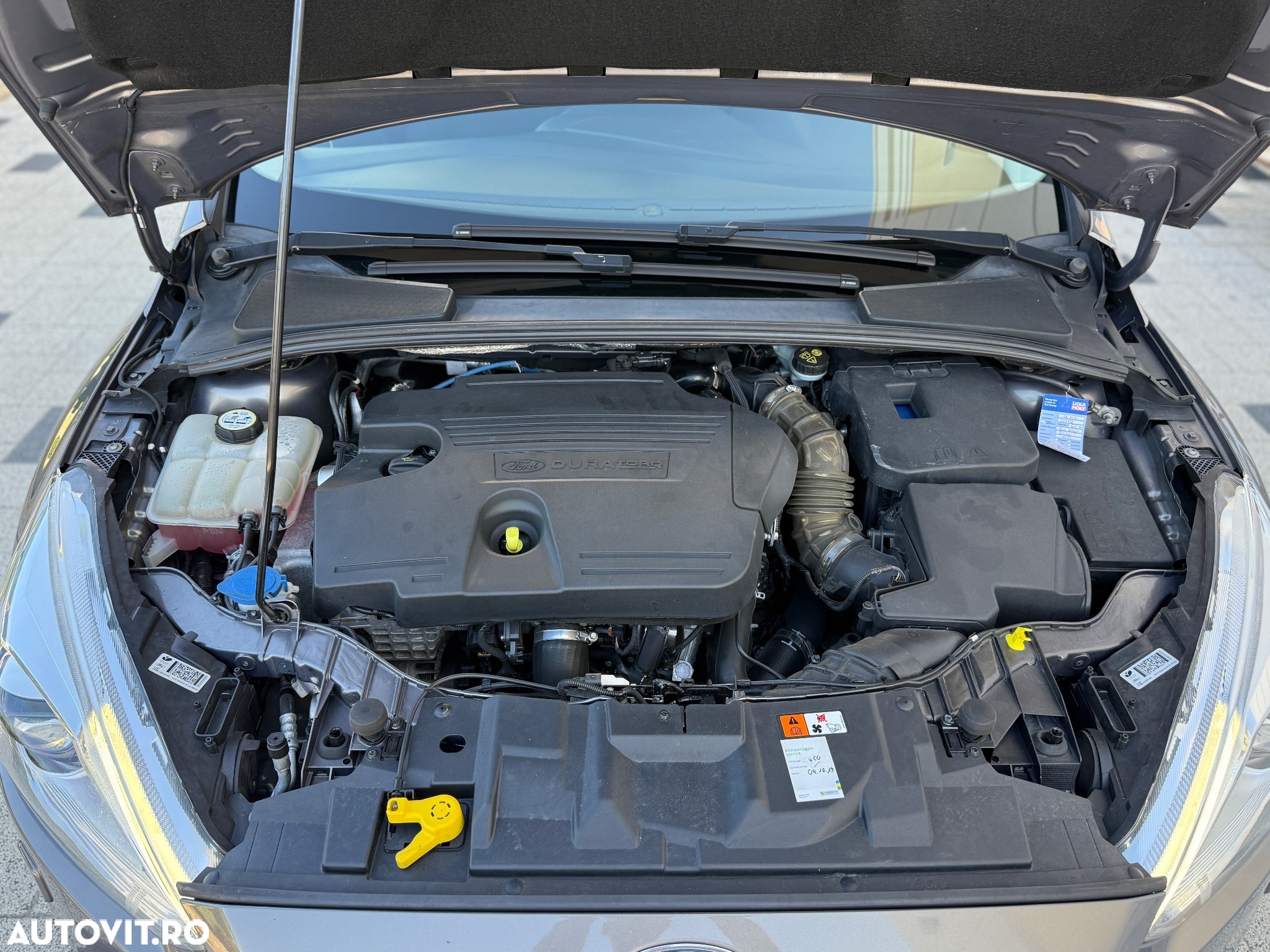 Ford Focus - 21