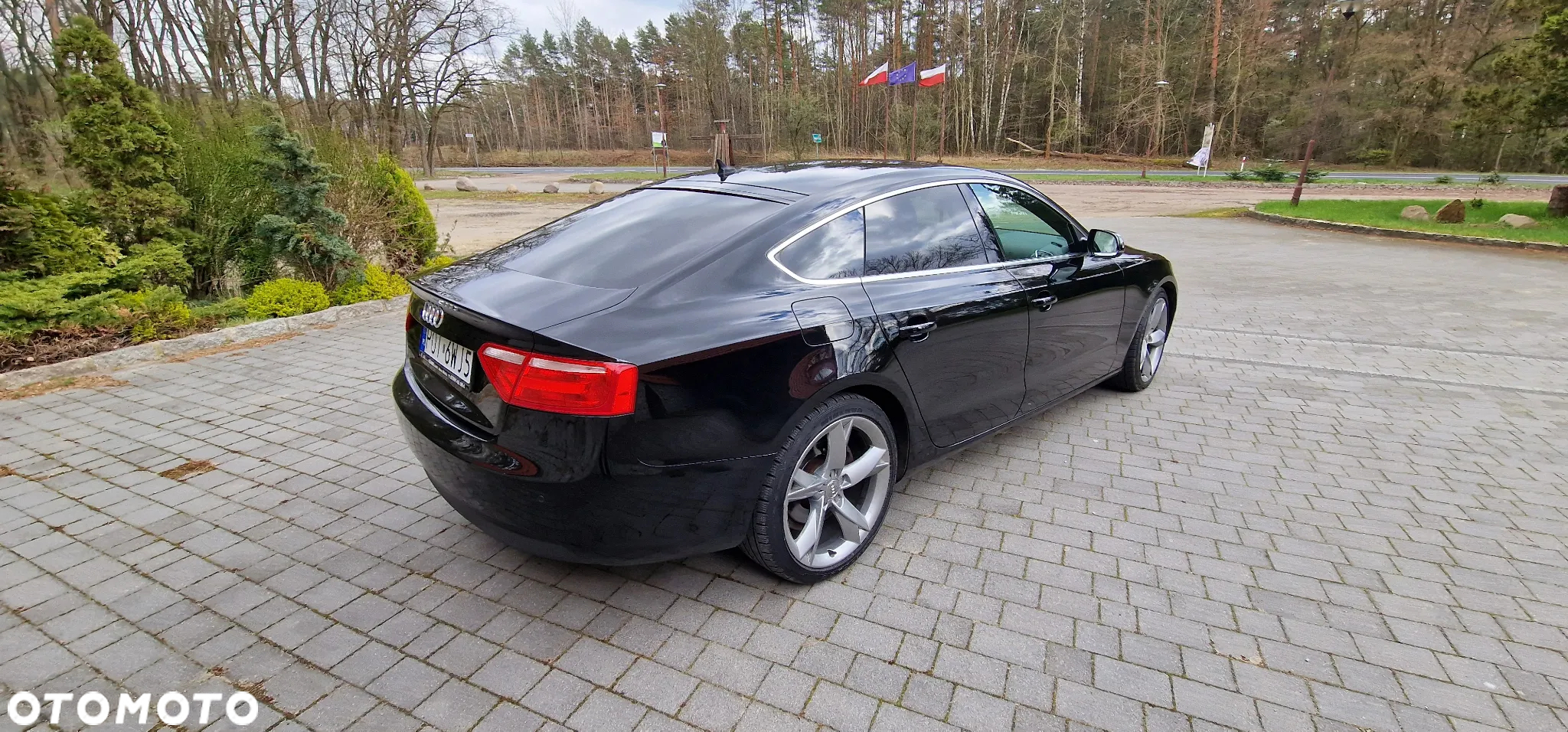 Audi A5 2.0 TDI clean diesel Multitronic - 15
