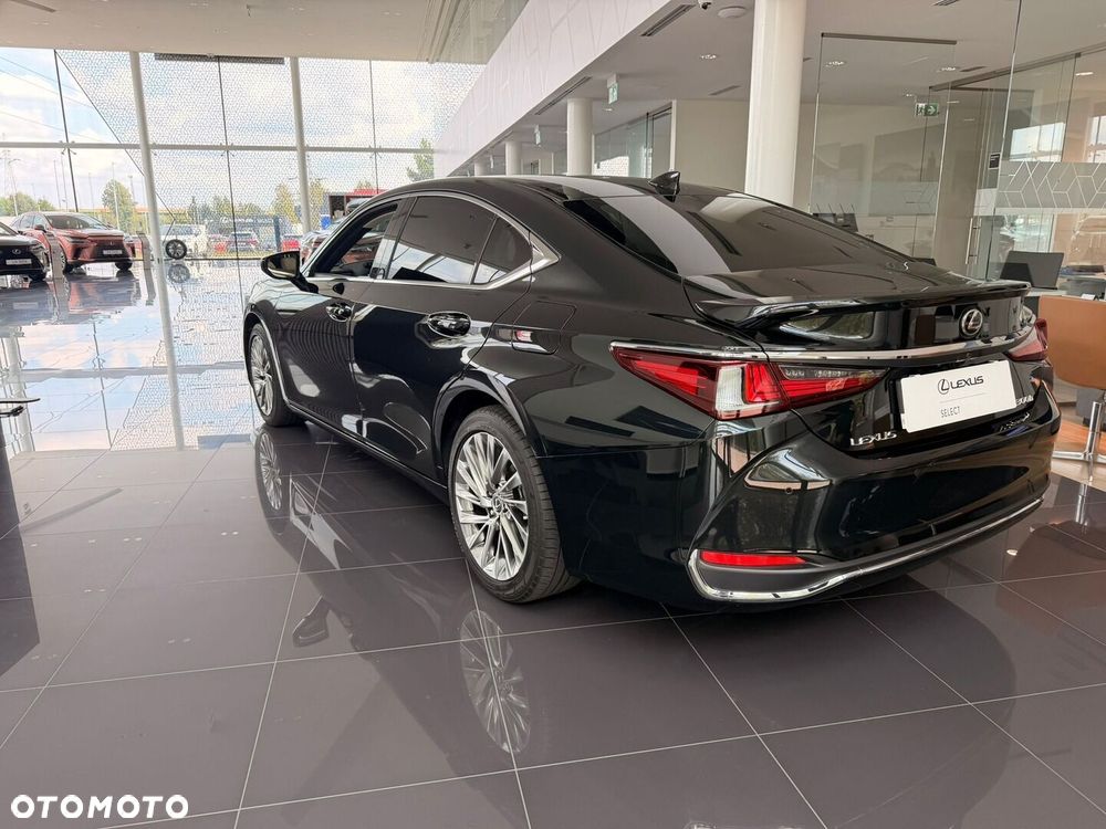 Lexus ES 300h Omotenashi - 6