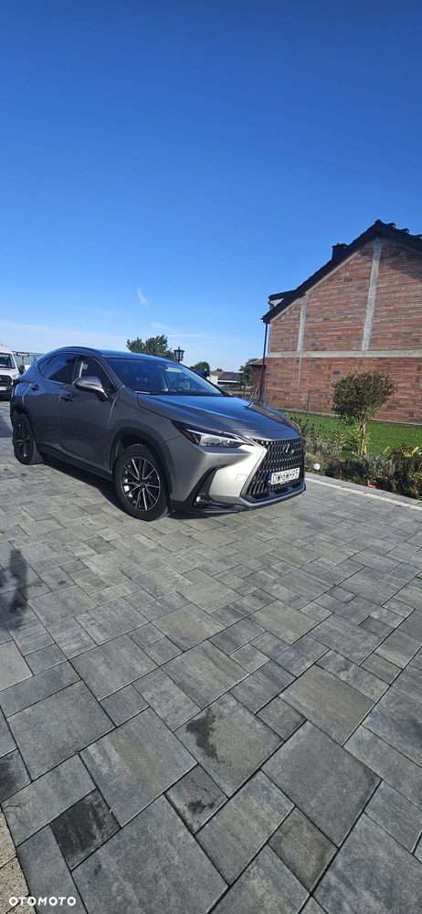 Lexus NX 450h+ Prestige AWD - 2