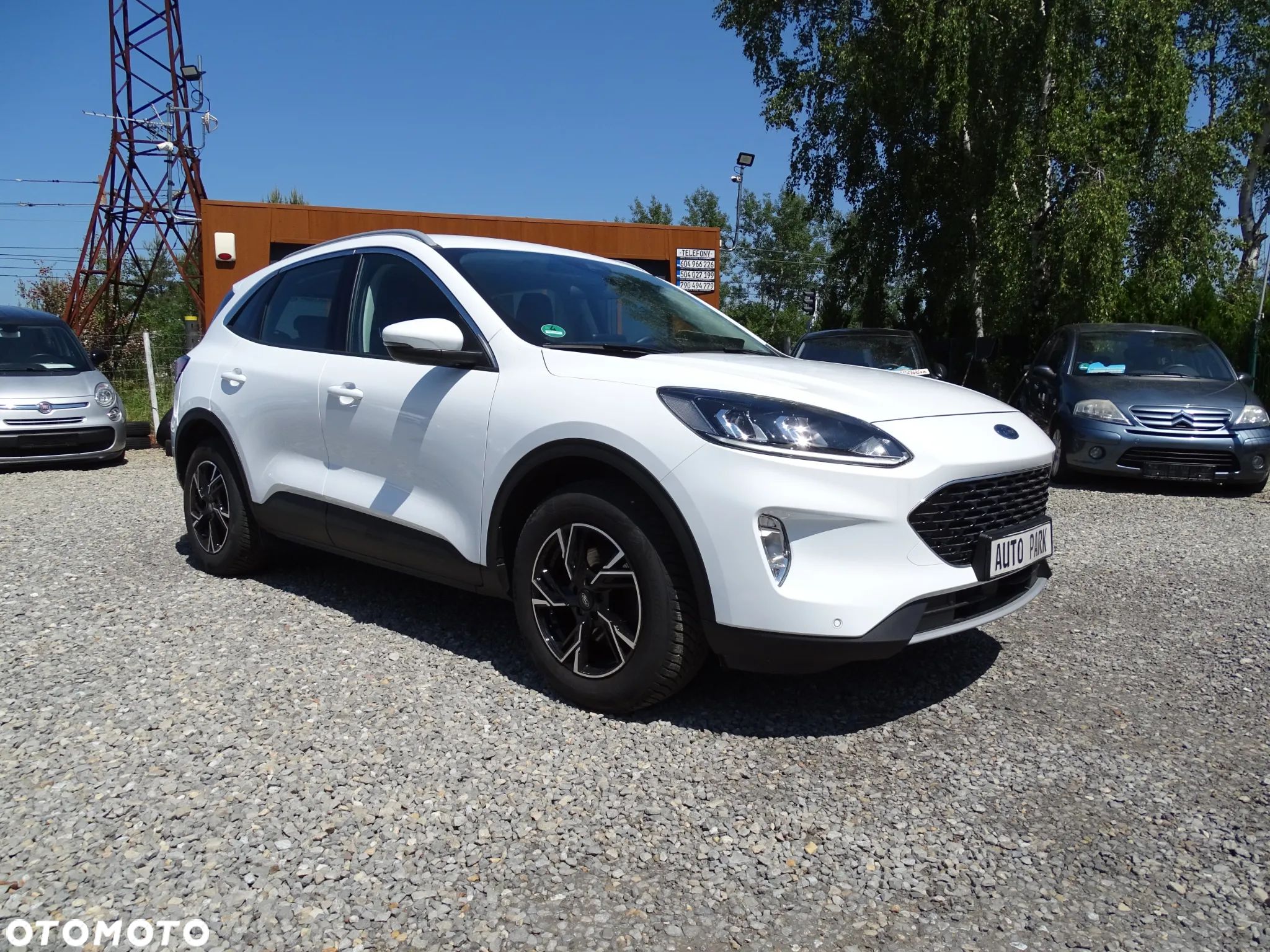 Ford Kuga 1.5 EcoBoost FWD Edition ASS MMT6 - 1