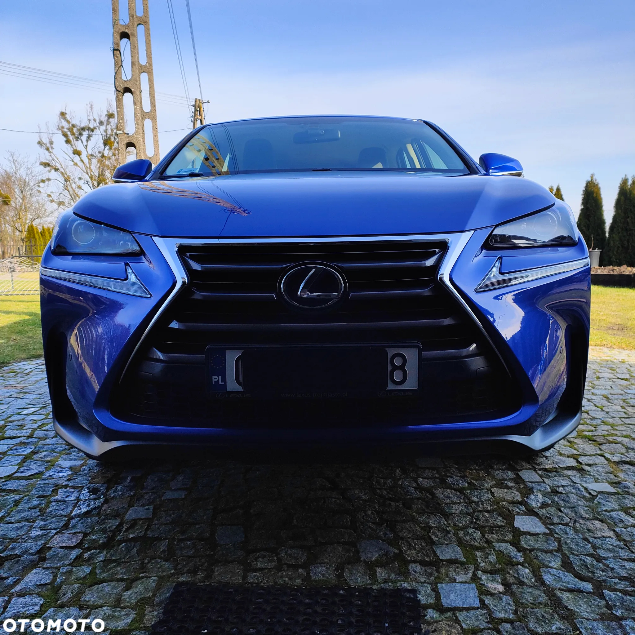 Lexus NX 300h Comfort AWD - 8