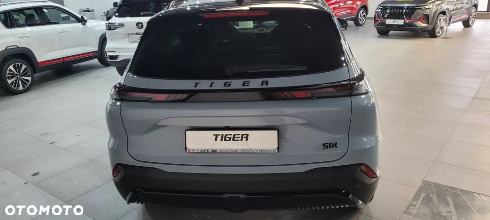 DR MOTOR TIGER SIX - 5