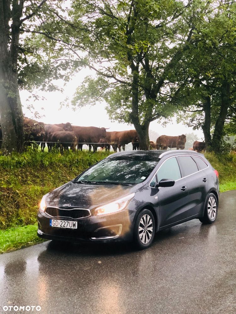 Kia Ceed 1.6 CRDi 136 ISG Spirit - 1