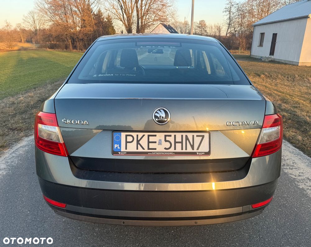 Skoda Octavia 1.6 TDI Active - 8