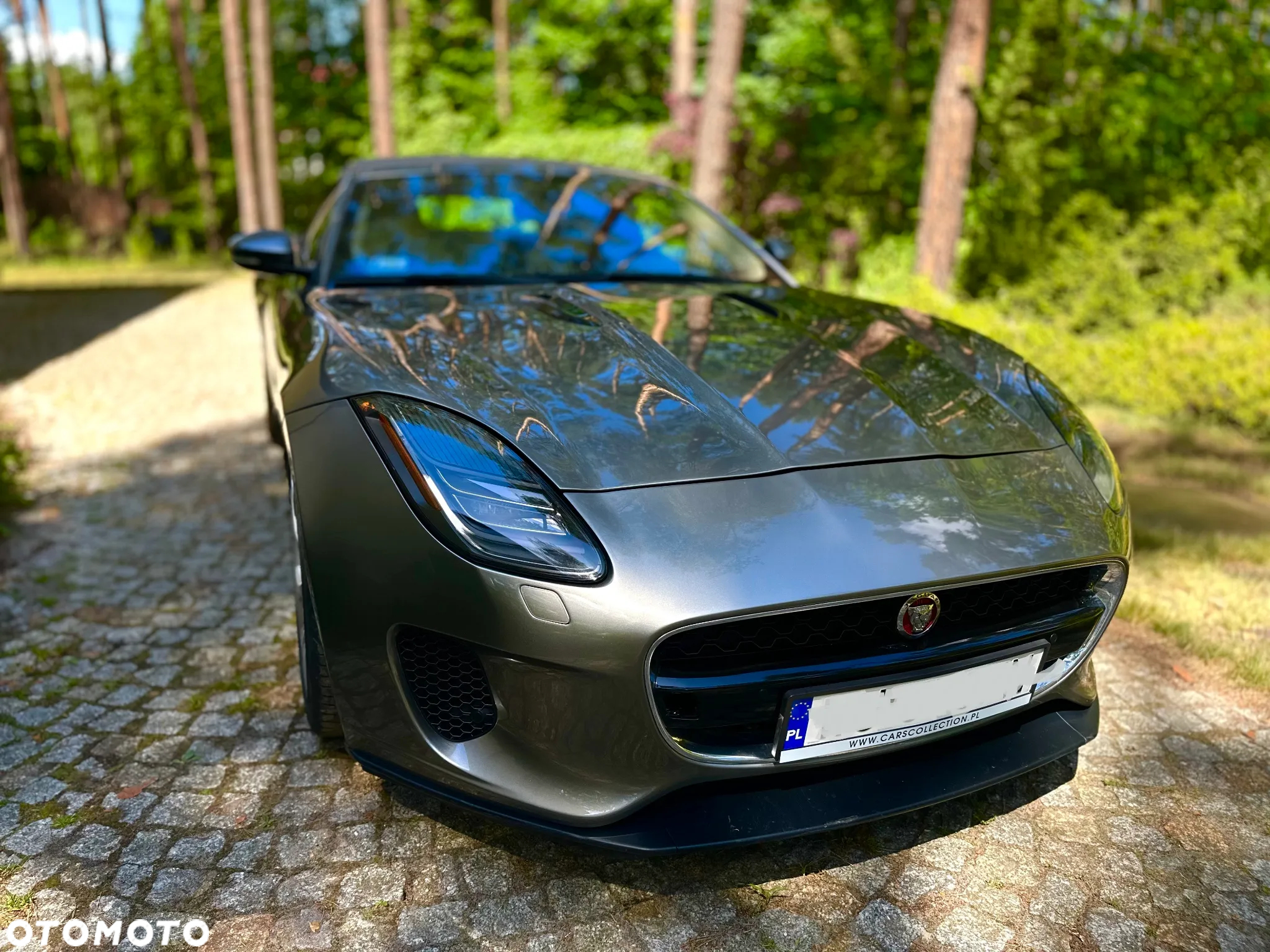 Jaguar F-Type 2.0 Turbo Chequered Flag - 5