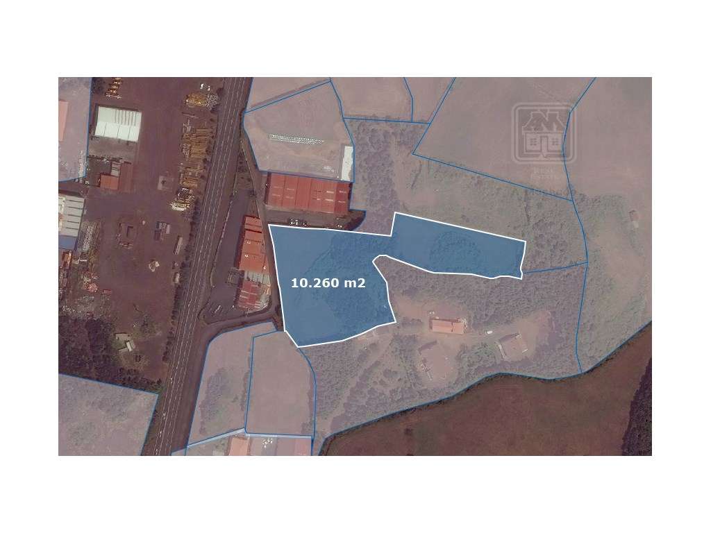 AMPLO TERRENO para projecto industrial junto ao Pico da Pedra, Ribe... - Grande imagem: 5/25