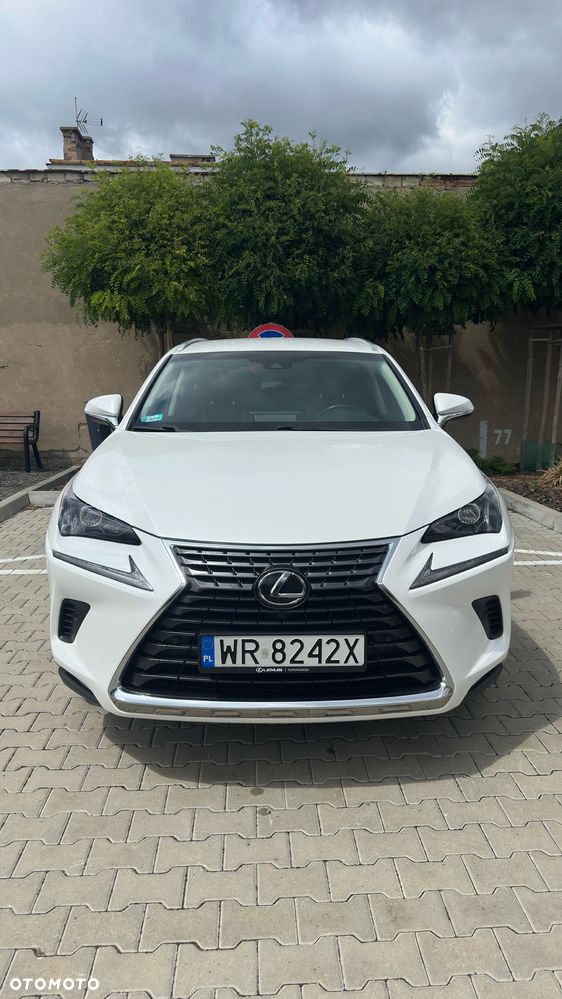 Lexus NX 300 Comfort AWD - 5