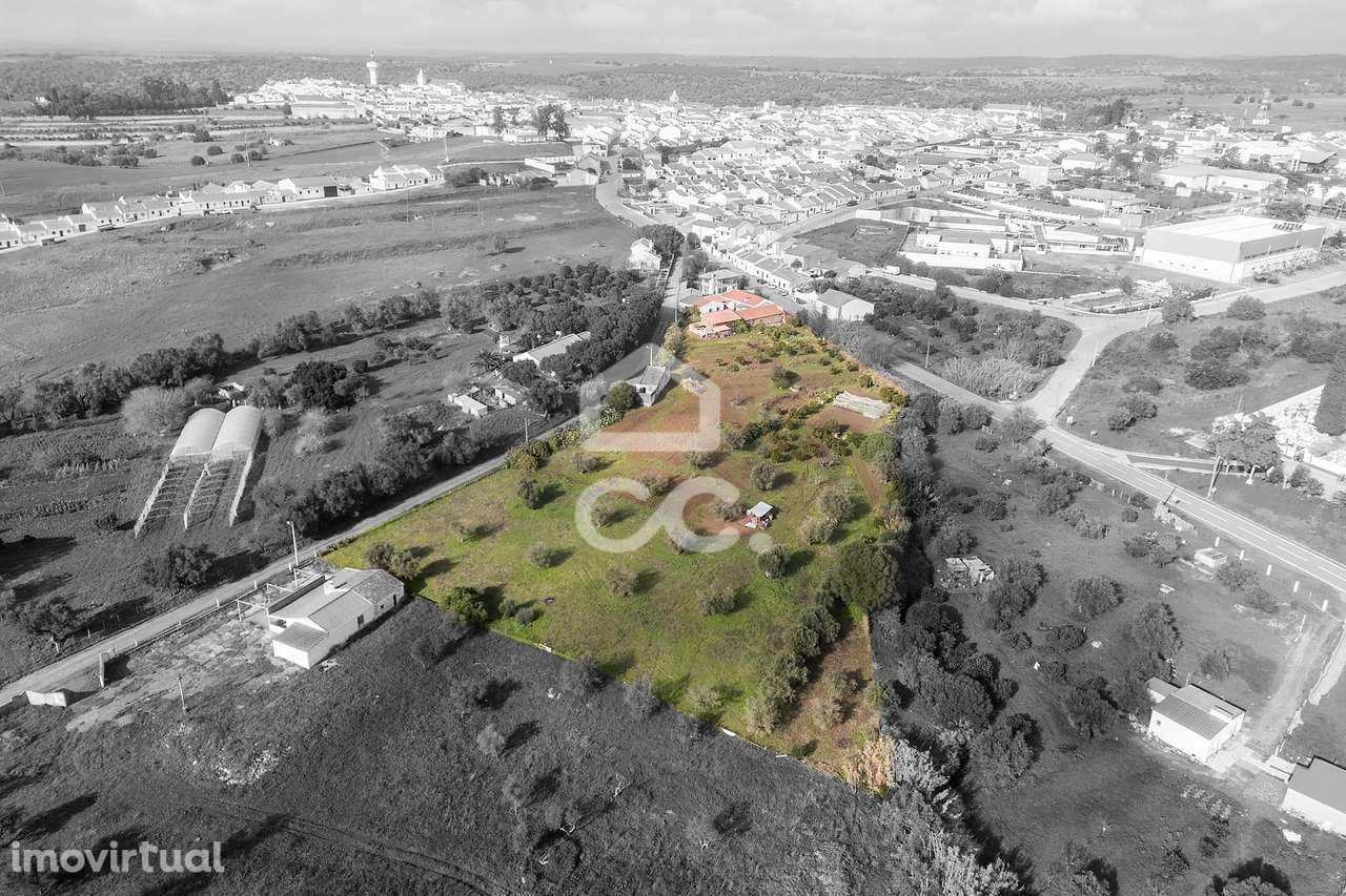 Quinta de 9750 m2 com duas moradias e  Anexos | Torrão - Grande imagem: 3/60
