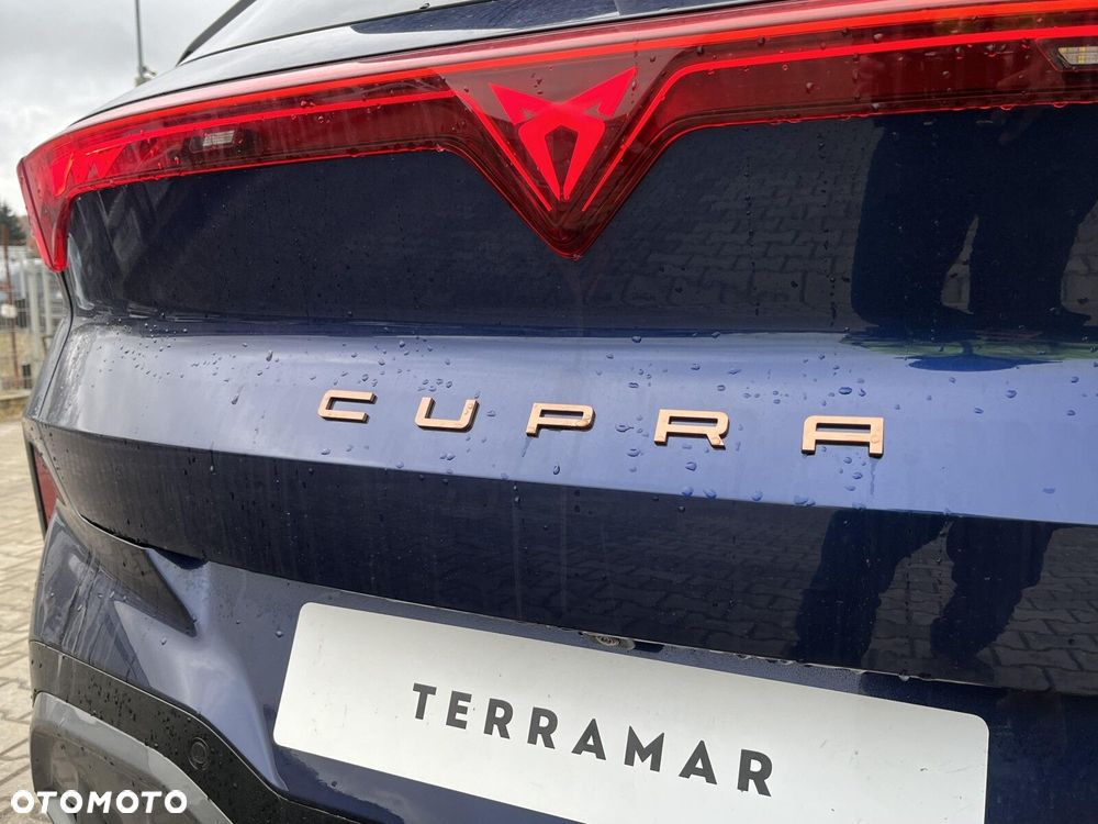 Cupra Terramar - 14